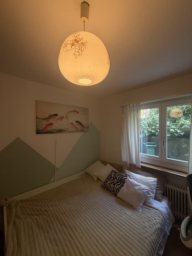 Furnished Apartment in Zurich  3-Month Sublet near the Limmat River (5)