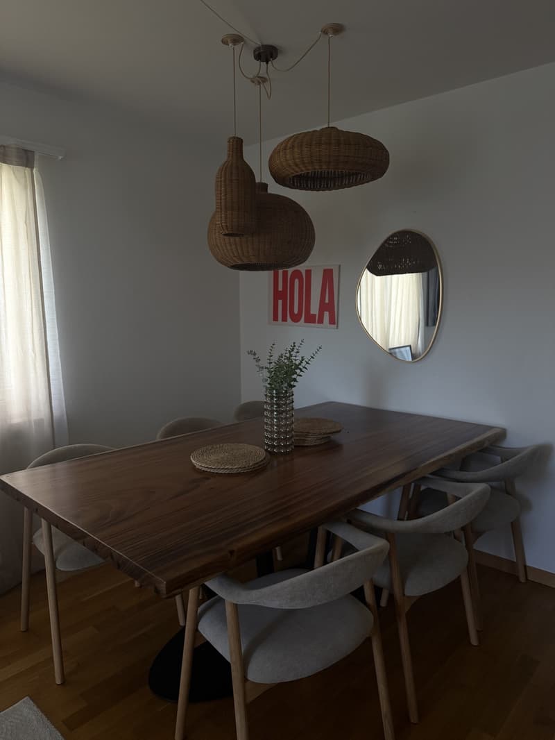 Furnished Apartment in Zurich  3-Month Sublet near the Limmat River (4)