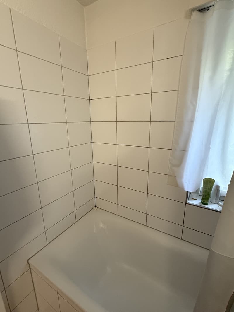 Furnished Apartment in Zurich  3-Month Sublet near the Limmat River (6)