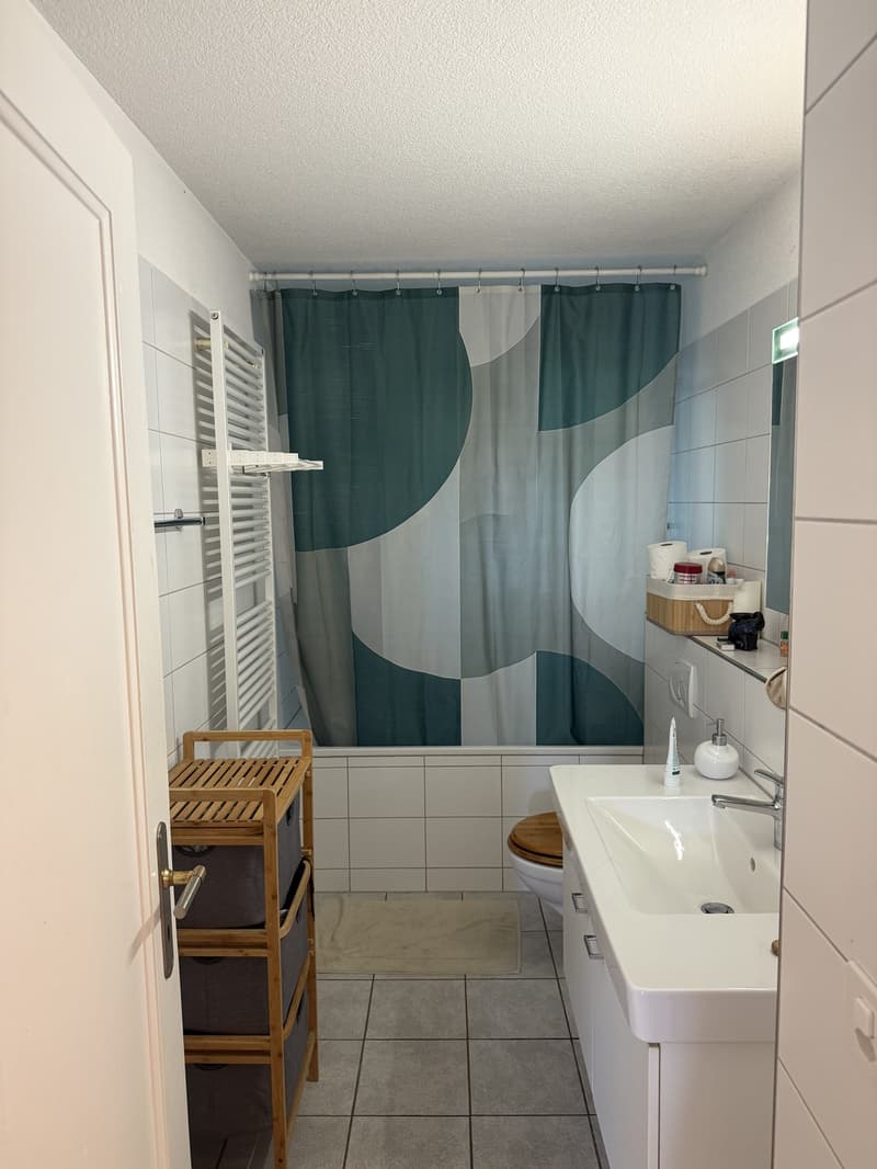 Furnished Apartment in Zurich  3-Month Sublet near the Limmat River (7)