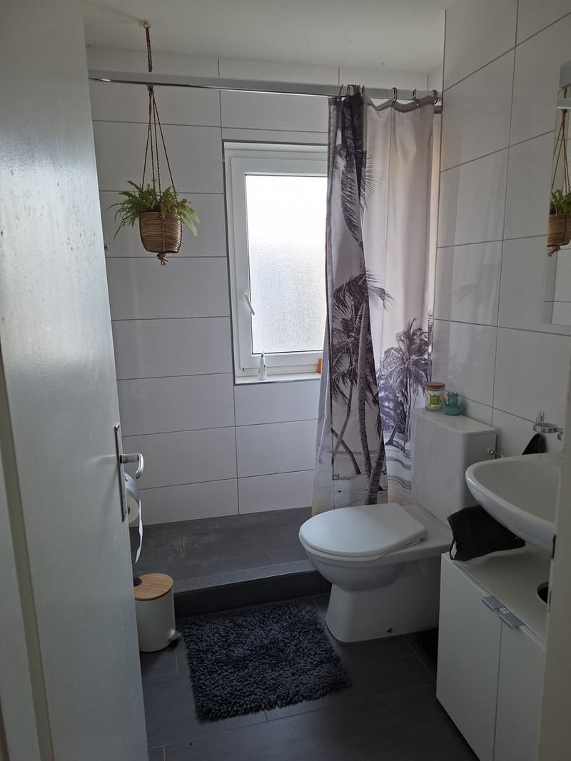 WG Zimmer in 2 er Wg, befristet (4)