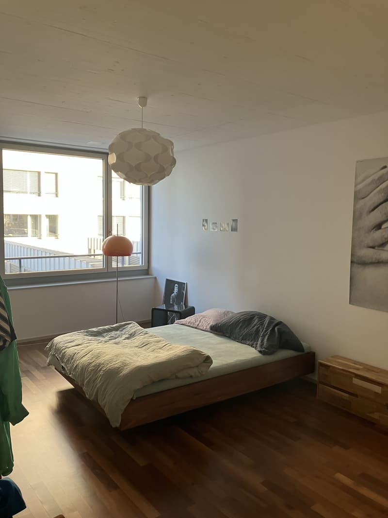 Atmospheric apartment in urban neighborhood Jan/Feb 2027 (4)