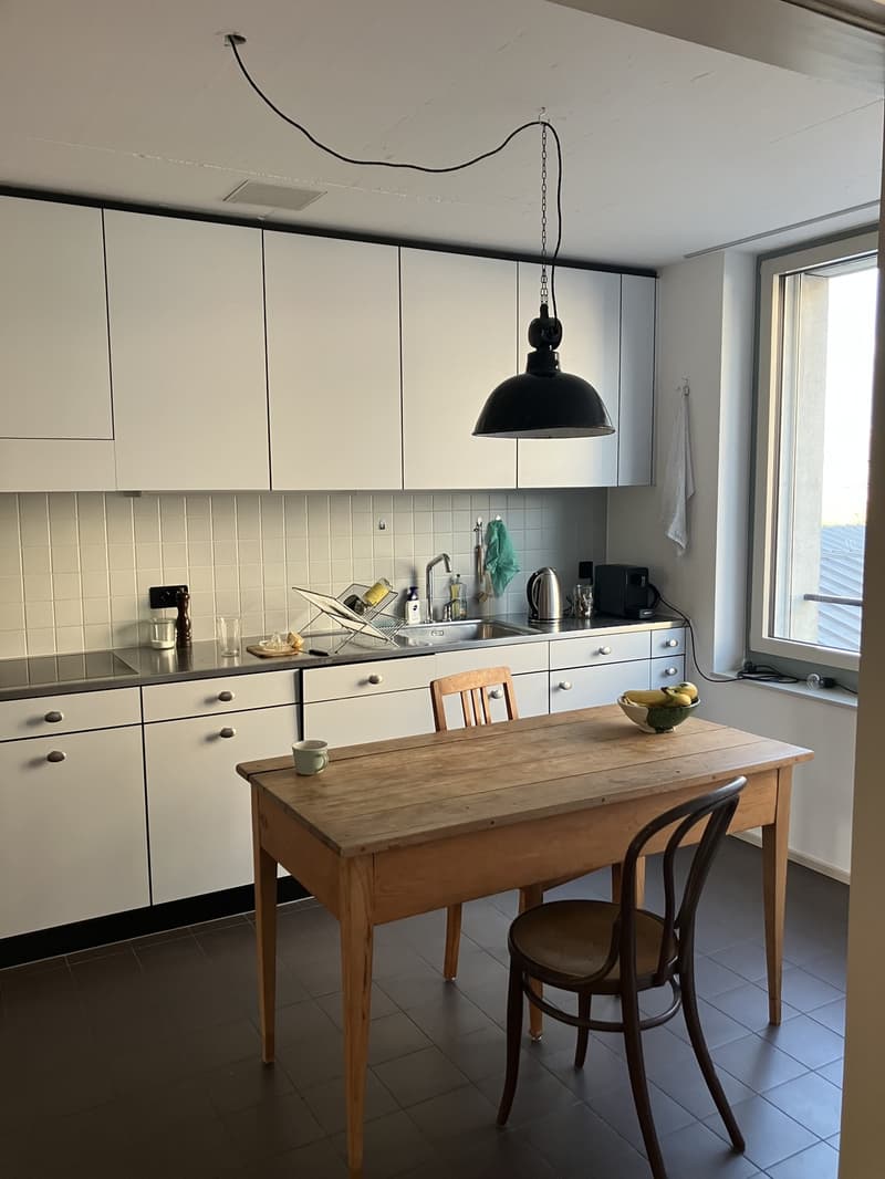 Atmospheric apartment in urban neighborhood Jan/Feb 2027 (5)