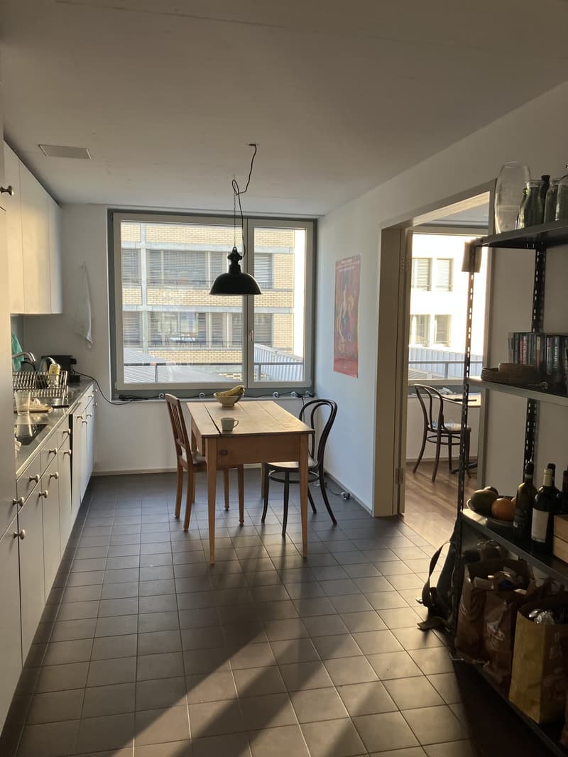 Atmospheric apartment in urban neighborhood Jan/Feb 2027 (6)