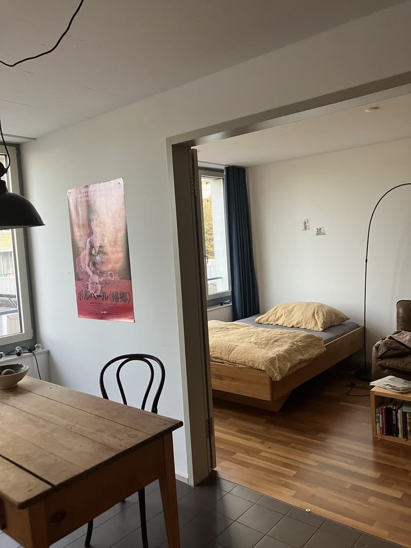 Atmospheric apartment in urban neighborhood Jan/Feb 2027 (7)
