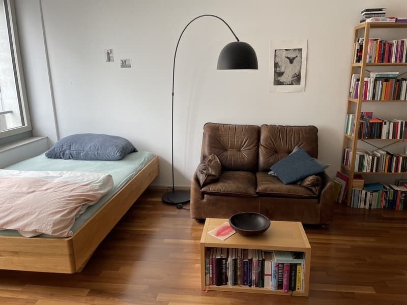 Atmospheric apartment in urban neighborhood Jan/Feb 2027 (8)