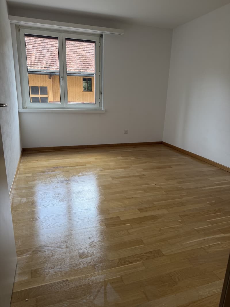 Mitbewohnerin gesucht (3)