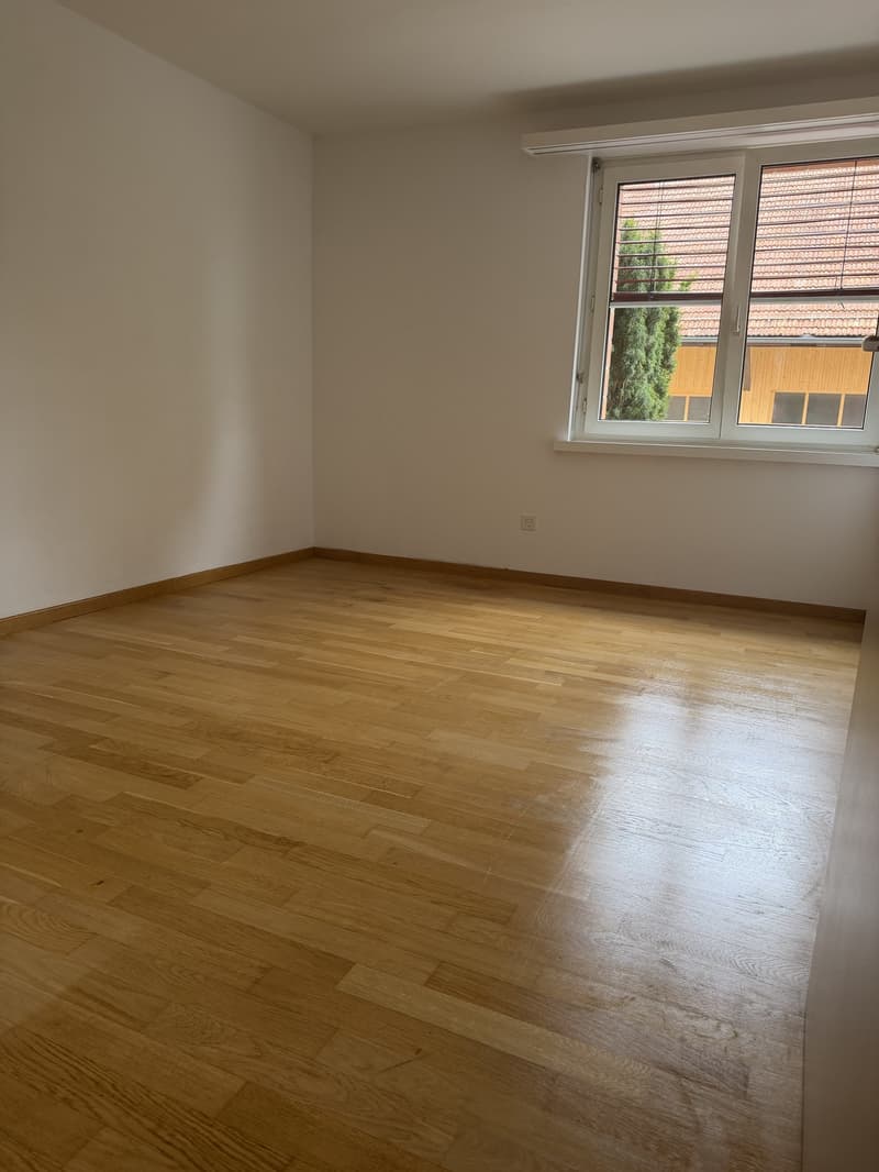 Mitbewohnerin gesucht (2)