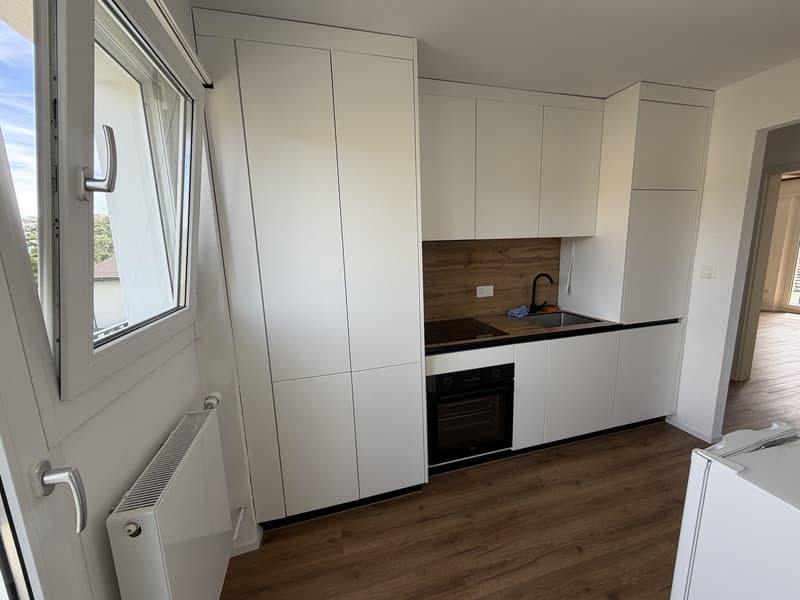Gemütliche 3.5-Zimmer Dachwohnung mit 2 Balkonen & Reduit in 5033 Buchs AG (4)