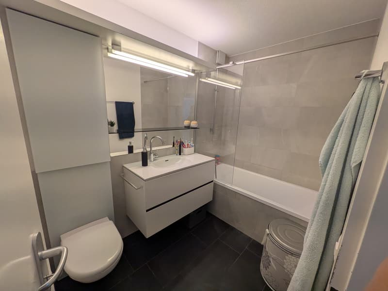 Grosszügige 6-Zimmer-Terrassenwohnung in Adliswil - Ab 16 Dezember 2026 (13)
