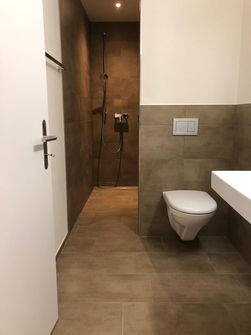 4½ Zimmer-Wohnung in Stüsslingen mieten (11)