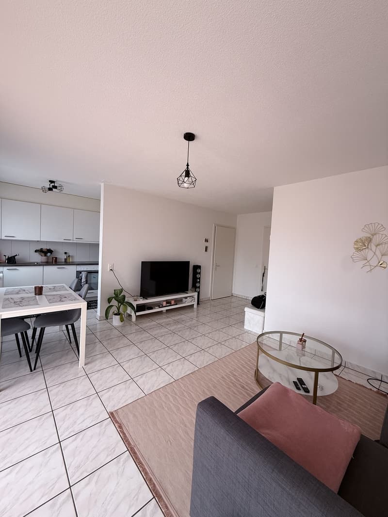 Magnifique appartement de 65m2 disponible à partir du 01.10.2026 (reprise de bail) (3)