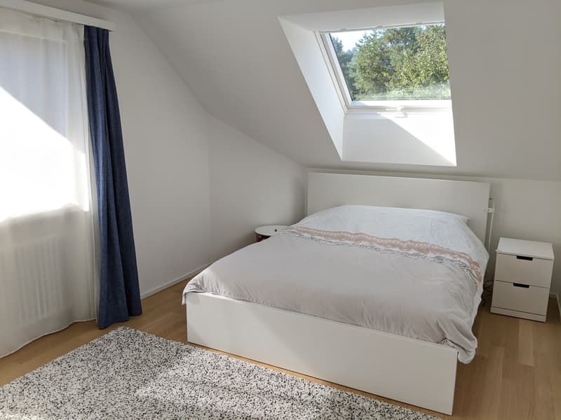 4.5 room, 131 m2 (w/ loft: 5.5 room, 166 m2) in Langnau am Albis, starts Oct 5th, 2026 (3,760.00 CHF / mo) (6)
