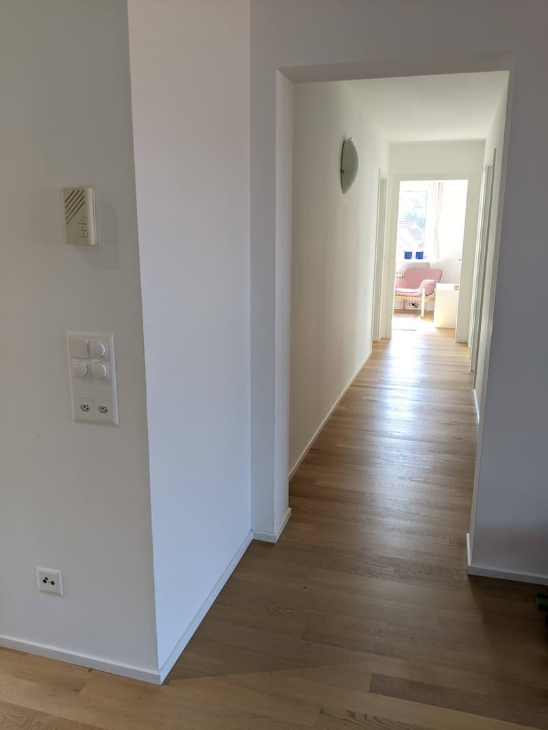 4.5 room, 131 m2 (w/ loft: 5.5 room, 166 m2) in Langnau am Albis, starts Oct 5th, 2026 (3,760.00 CHF / mo) (3)