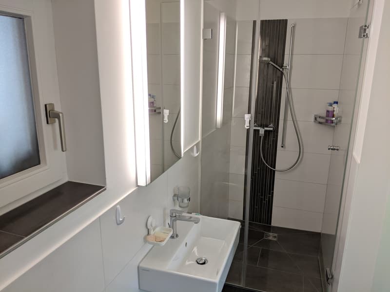 4.5 room, 131 m2 (w/ loft: 5.5 room, 166 m2) in Langnau am Albis, starts Oct 5th, 2026 (3,760.00 CHF / mo) (10)