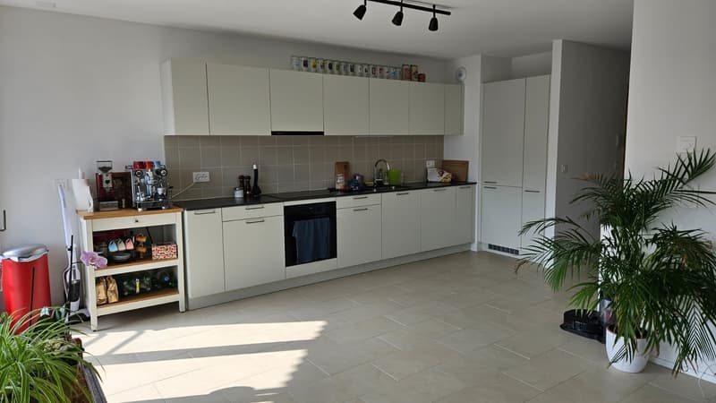 3,5 Apartment in Gland - Next to the train station (4)