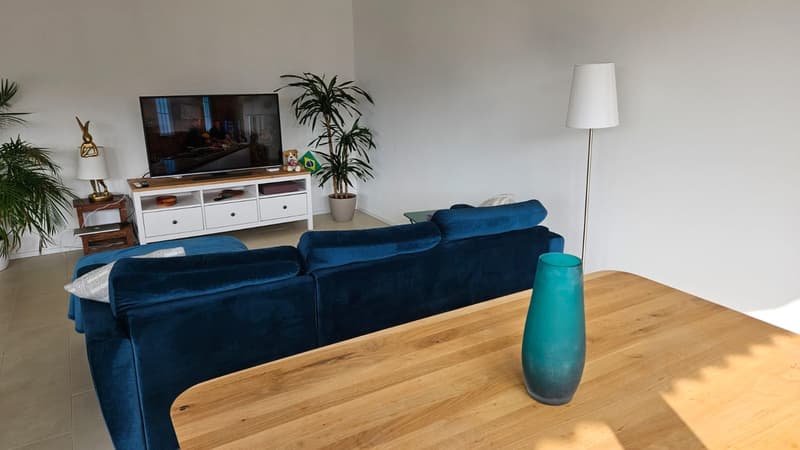 3,5 Apartment in Gland - Next to the train station (7)