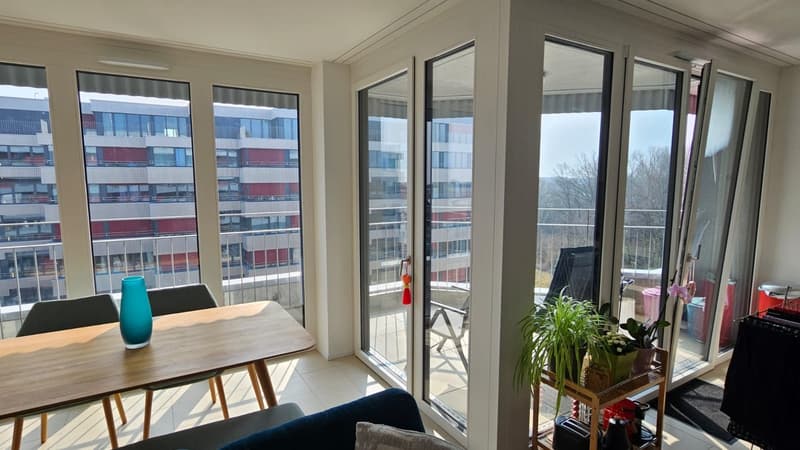 3,5 Apartment in Gland - Next to the train station (11)