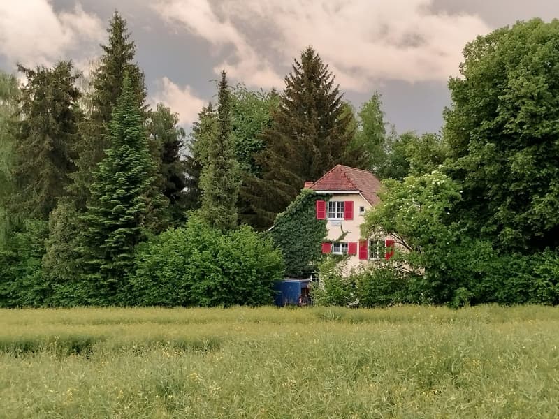 -Freies WG Zimmer in Muri- (8)