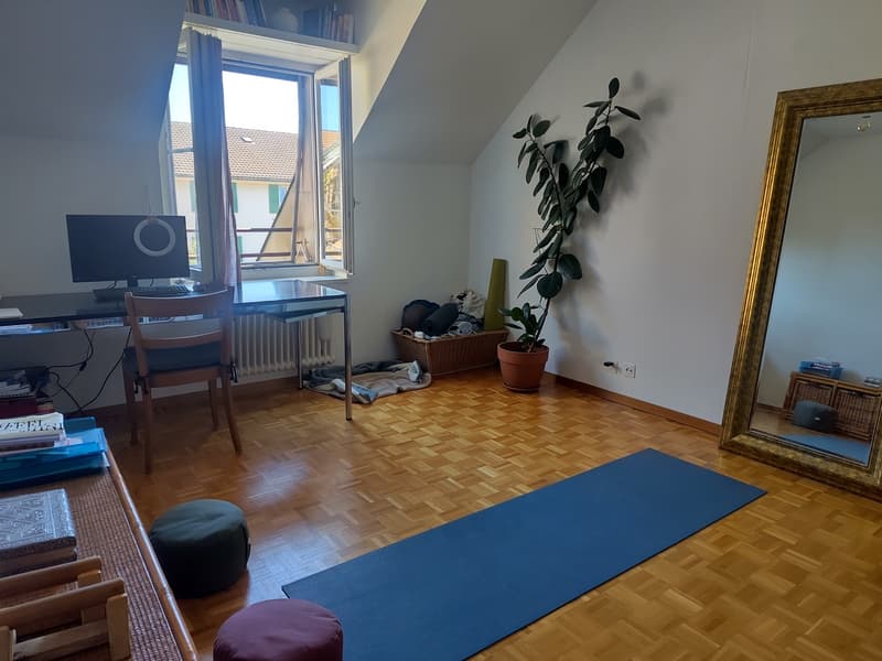 Möblierte Dachwohnung mit Galerie im Breitsch befristete Untermiete (2)