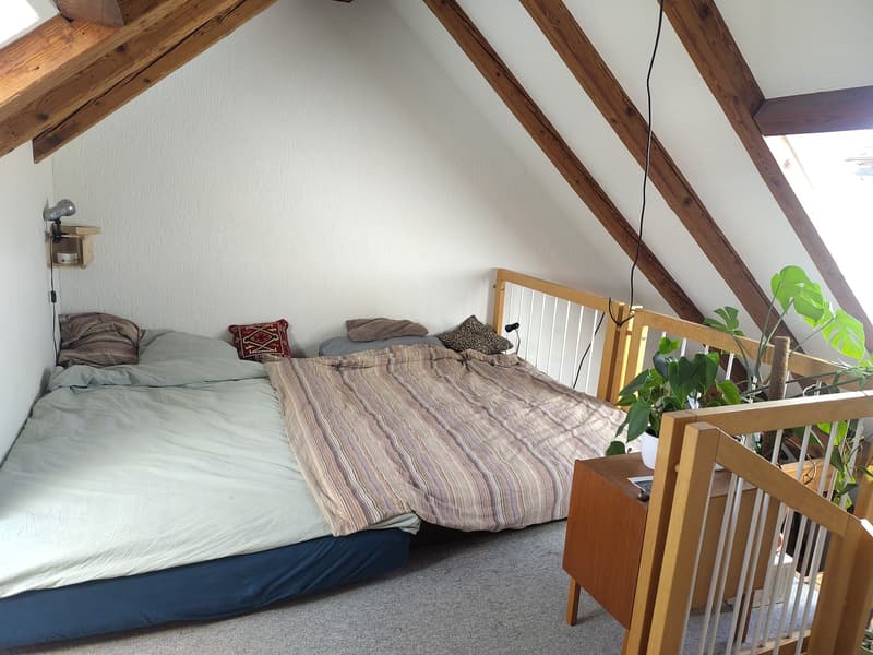 Möblierte Dachwohnung mit Galerie im Breitsch befristete Untermiete (3)