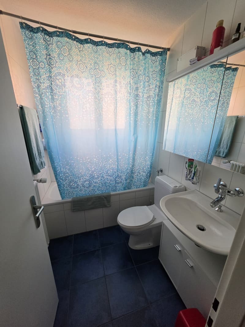 Helle 4,5 Zimmer Wohnung (8)