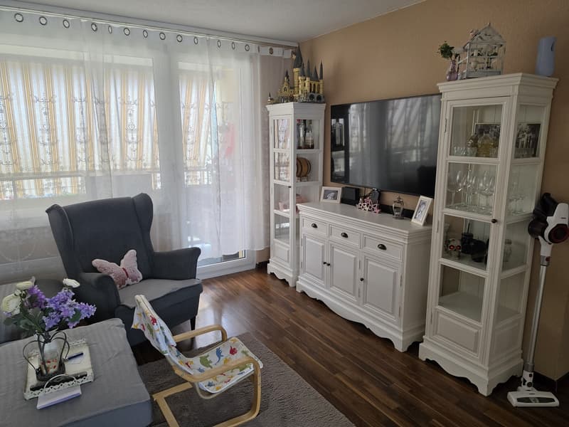 Helle 4,5 Zimmer Wohnung (1)