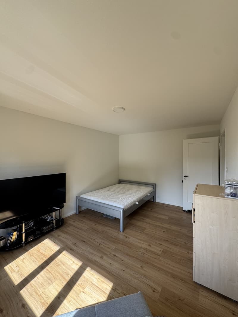 Moderne 1 Zimmerwohnung Nachmieter/in gesucht nähe Naturschutzgebiet (3)