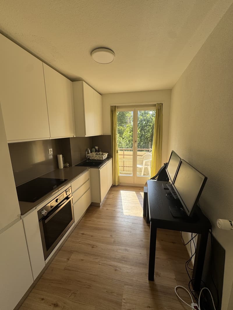 Moderne 1 Zimmerwohnung Nachmieter/in gesucht nähe Naturschutzgebiet (2)