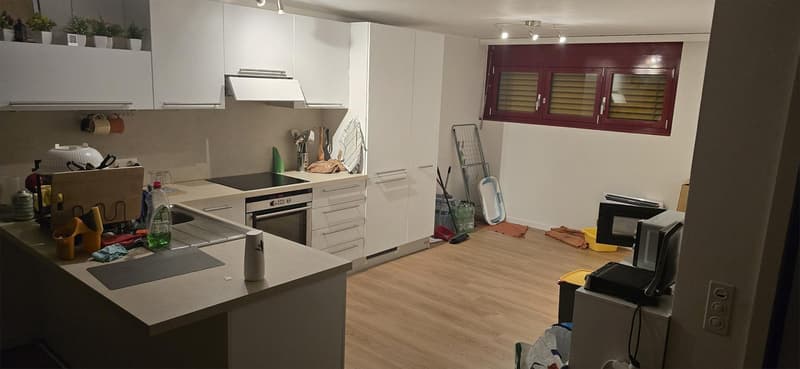 Cercasi Subentrante  Ampio e luminoso 3.5 locali a Mezzovico-Vira (6)