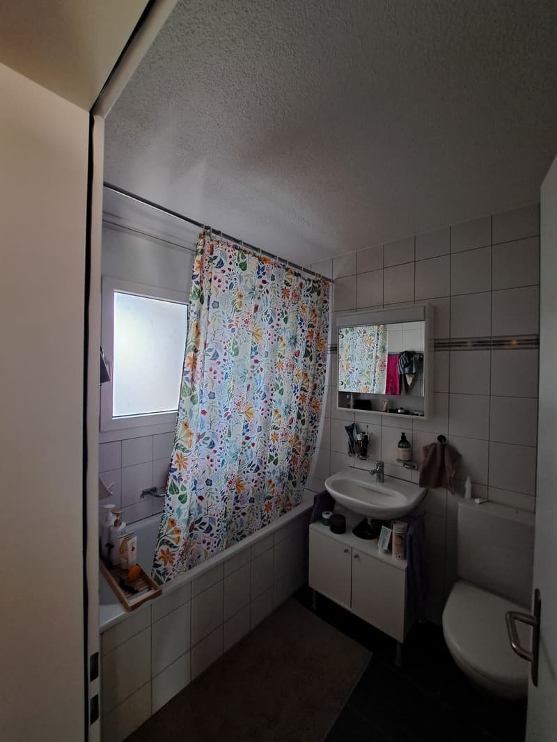 Schöne 2 1/2 Zimmer Wohnung in ruhiger Lage (5)