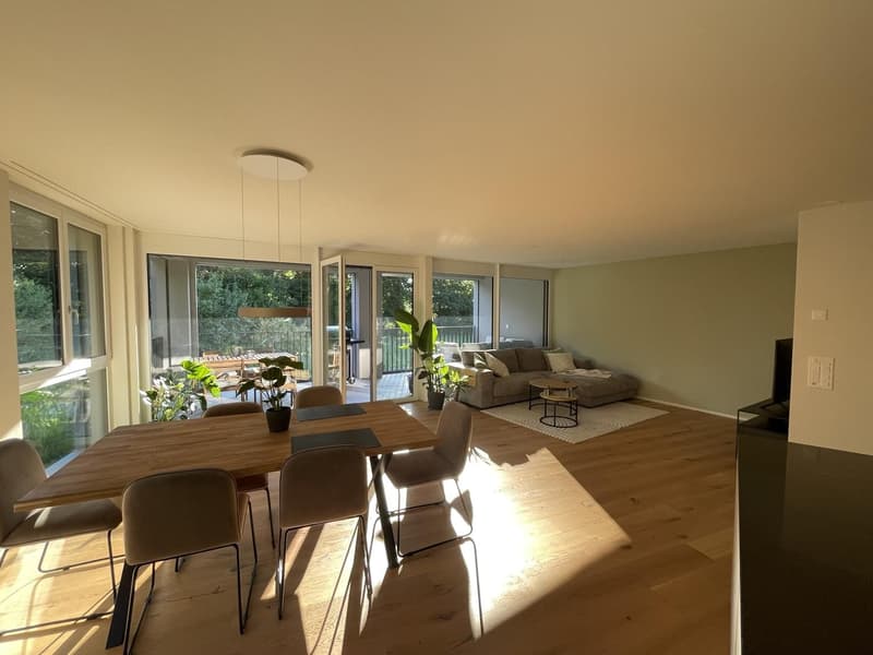 Moderne 3.5-Zimmer-Wohnung in Frauenfeld (4)