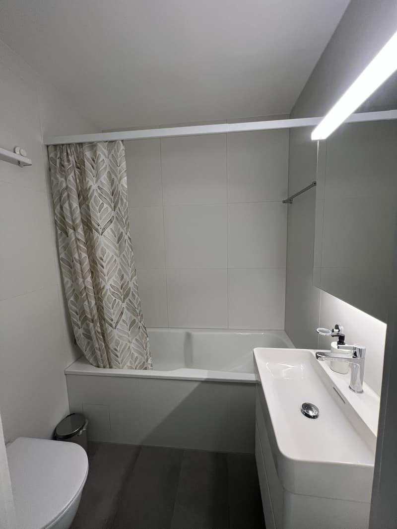 1-Zimmer-Wohnung in der Länggasse Nachmieter ab Mitte Oktober gesucht (7)