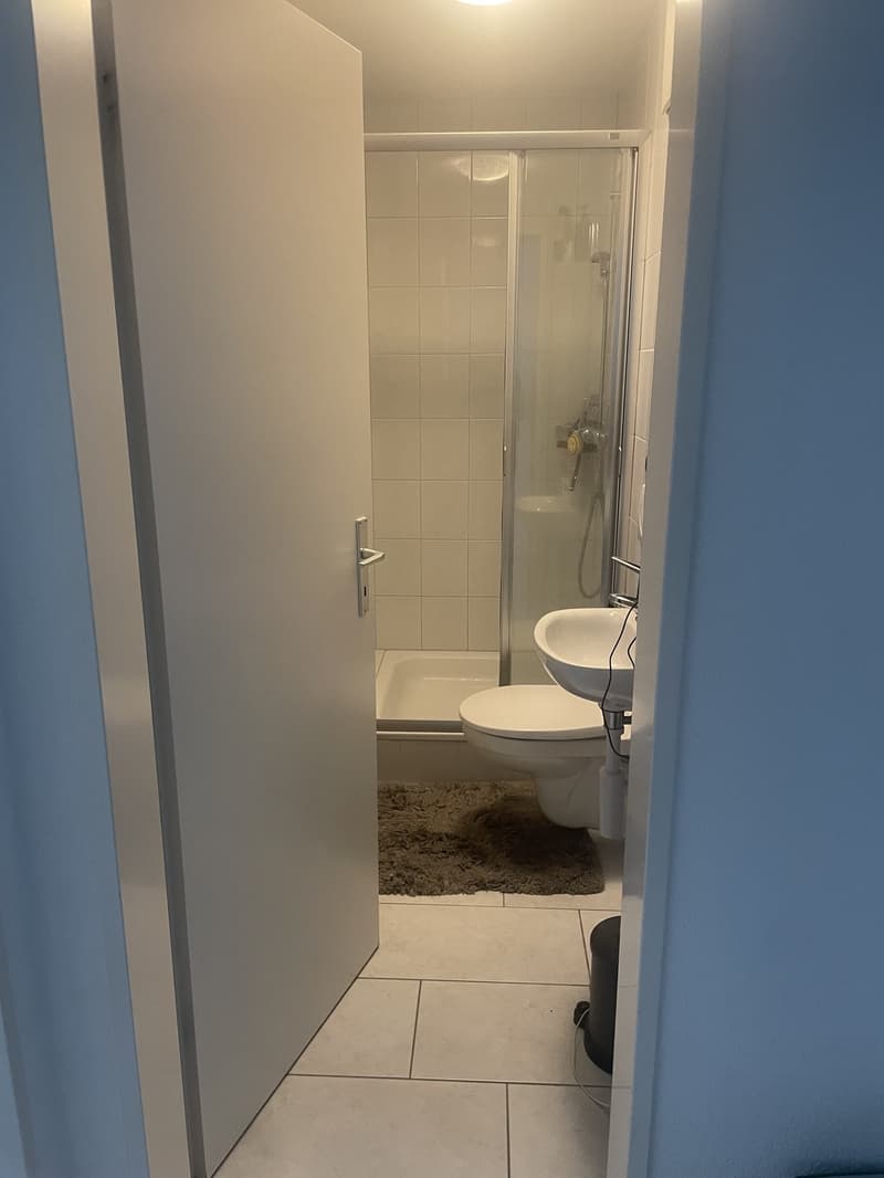Nachmieter gesucht (7)