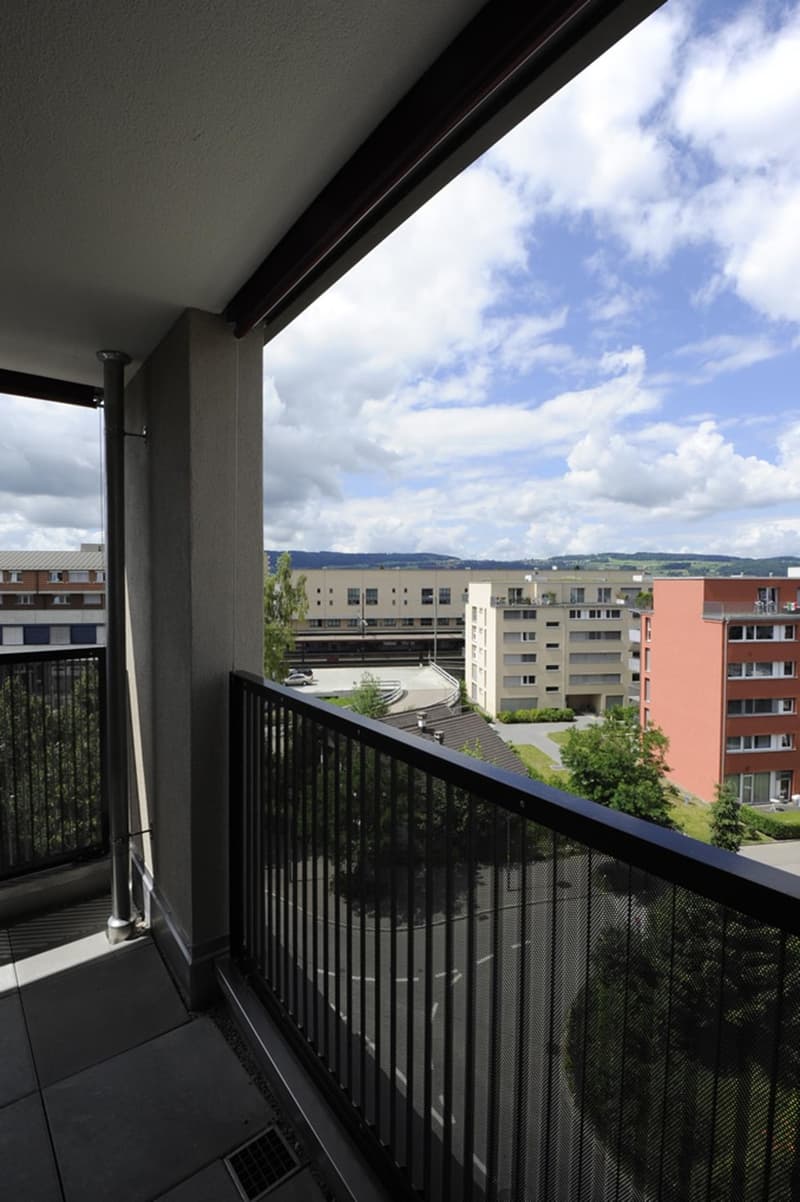 Wunderschöne 3.5 Zimmer Wohnung beim Bahnhof Uster (8)