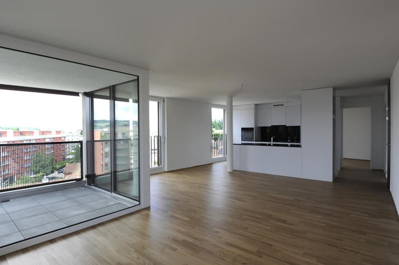 Wunderschöne 3.5 Zimmer Wohnung beim Bahnhof Uster (1)