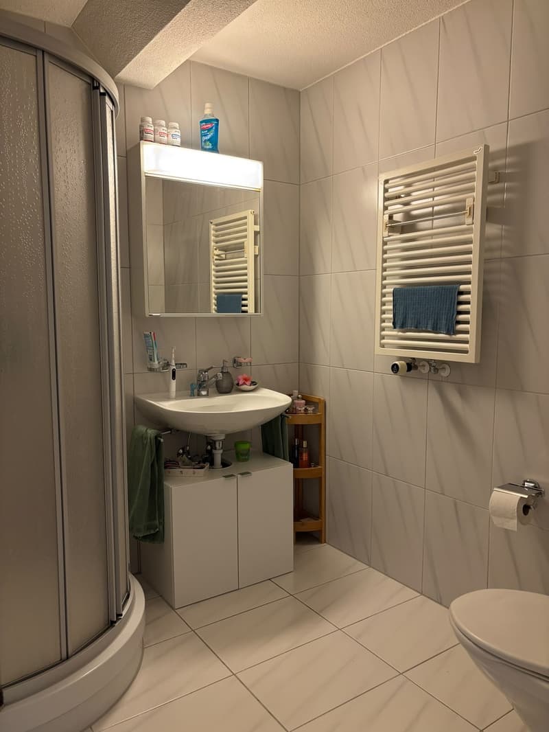 Charmante 2-Zimmer-Wohnung in der Neustadt beim Bundesplatz (6)