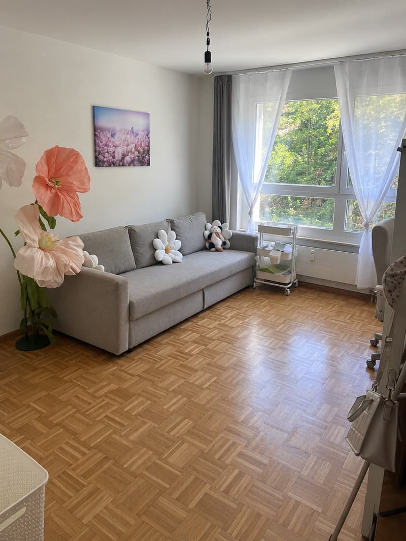 Sonnige 3 Zimmer Wohnung in Liestal (10)