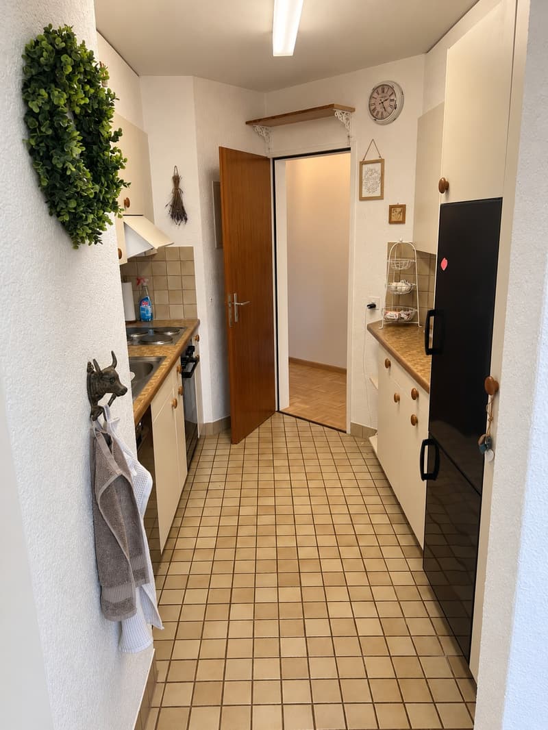 Sonnige 3 Zimmer Wohnung in Liestal (9)