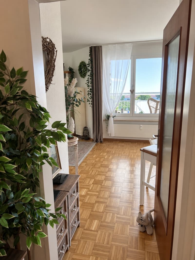 Sonnige 3 Zimmer Wohnung in Liestal (7)