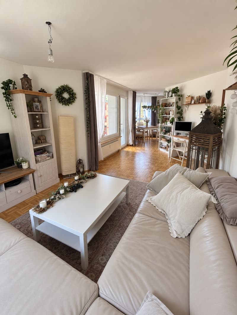 Sonnige 3 Zimmer Wohnung in Liestal (2)
