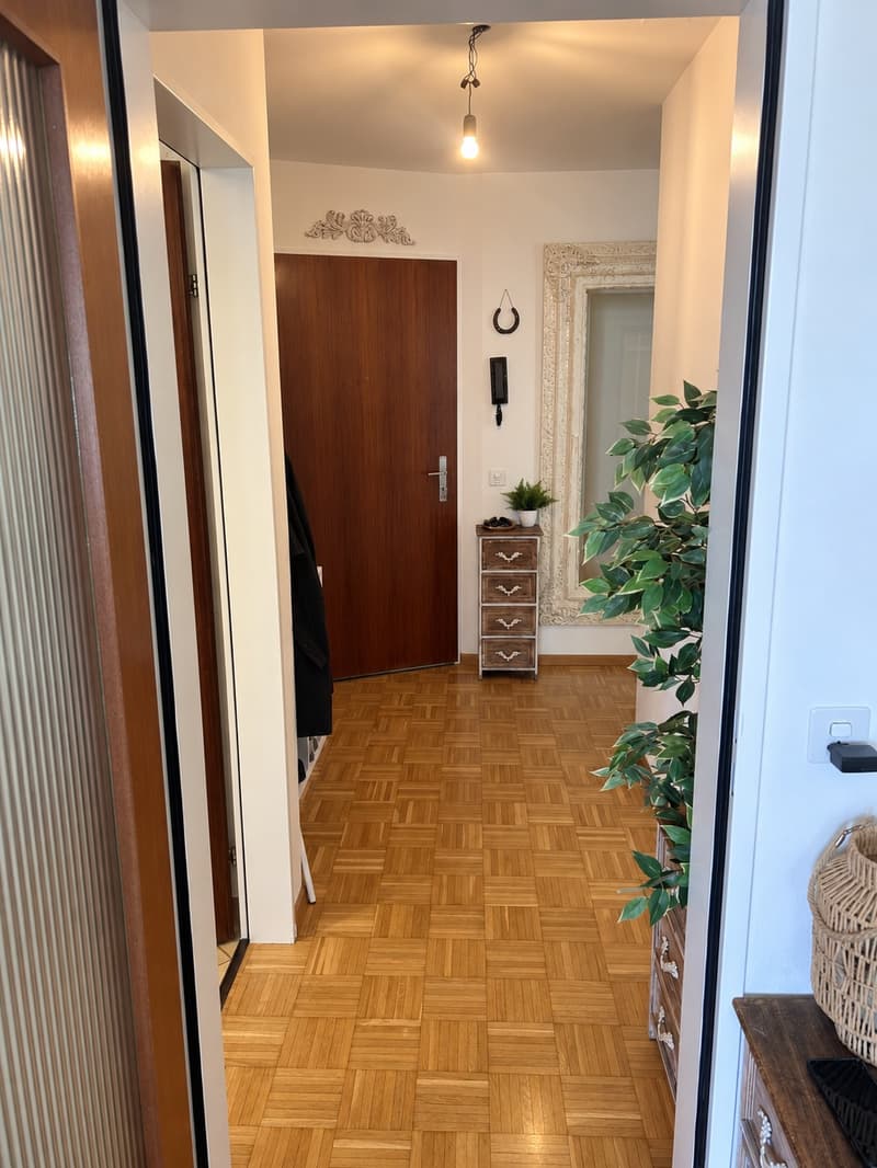 Sonnige 3 Zimmer Wohnung in Liestal (3)