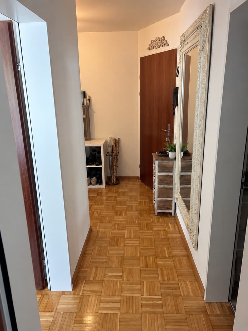 Sonnige 3 Zimmer Wohnung in Liestal (4)