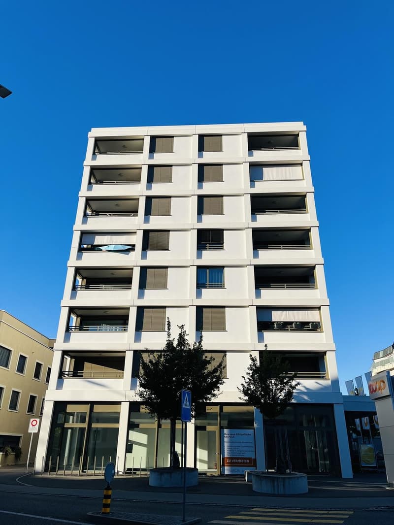 Moderne 2.5-Zimmer-Wohnung mit Balkon & eigenem Waschturm (2)