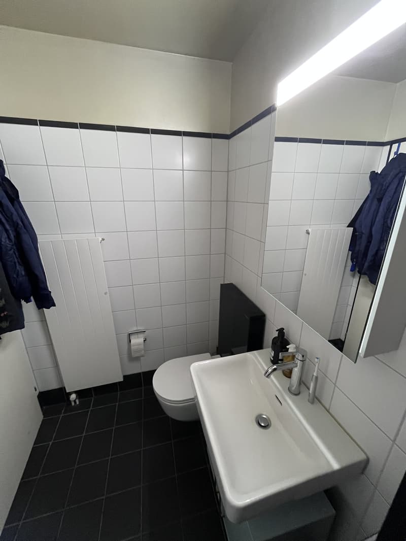 Bright city apartment at Zollstrasse 6 (5)