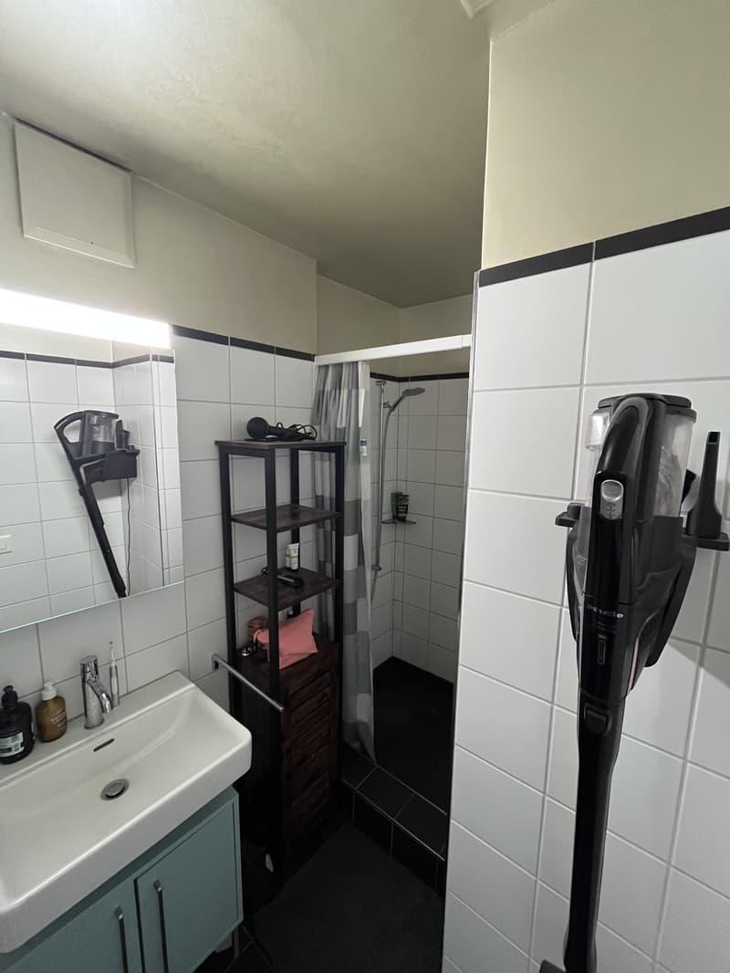 Bright city apartment at Zollstrasse 6 (4)