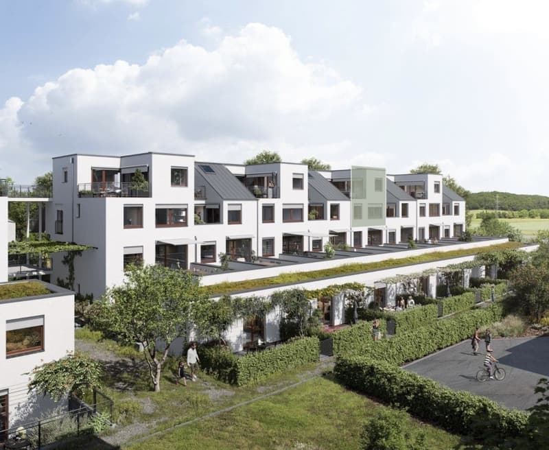 ERSTBEZUG: Solistrasse 68b, 8180 Bülach NACHMIETER (4)