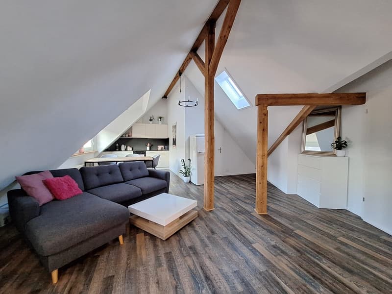 Wunderschöne 2.5-Zimmer-Dachwohnung nahe Bahnhof Dietikon (1)