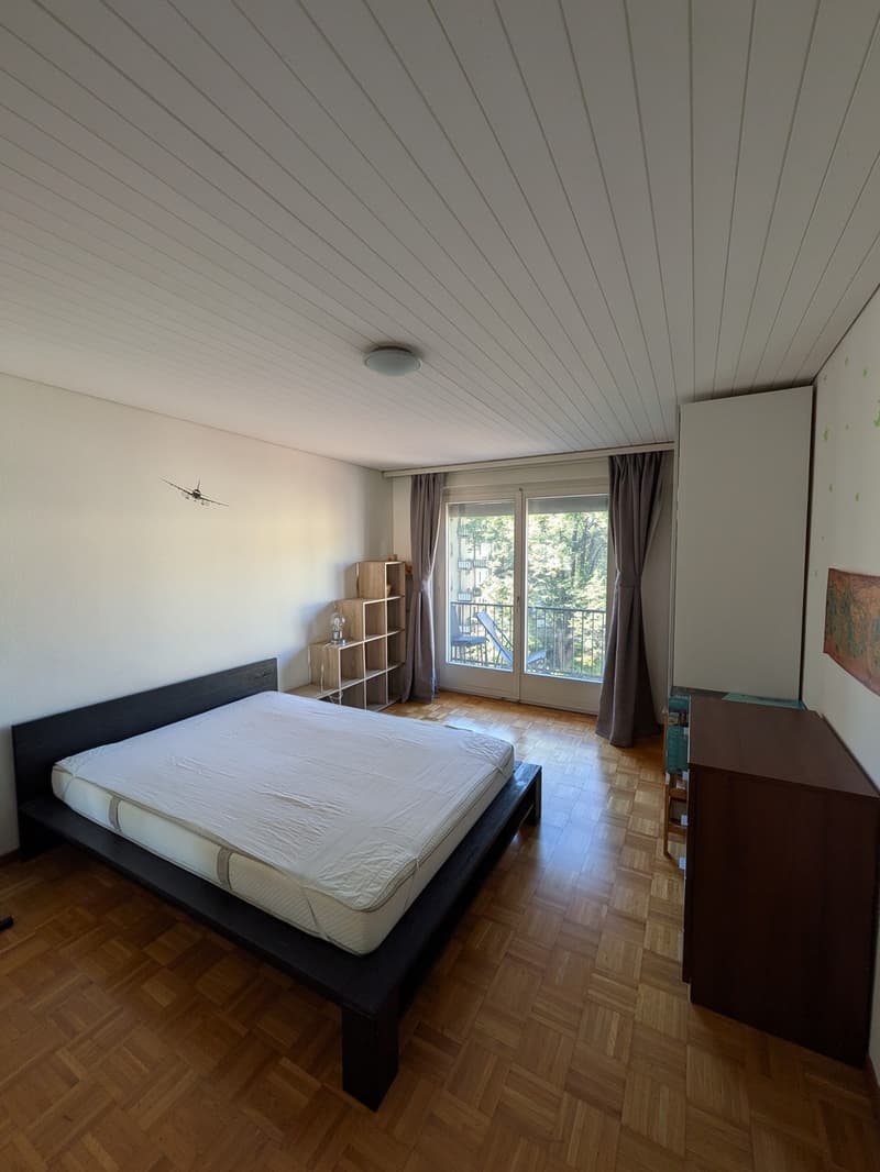 SUBLEASE | Furnished 2.5-room apartment in Zurich (5)