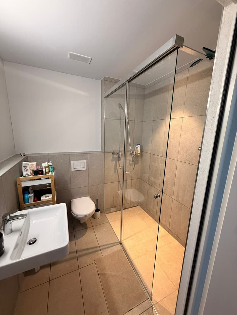 Möblierte 2.5-Zimmer-Wohnung in Horgen Oberdorf Untermiete für ca. 2 Jahre (9)